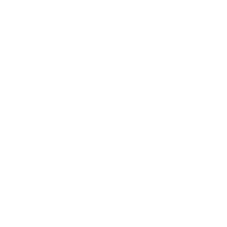 Kingdom Rise